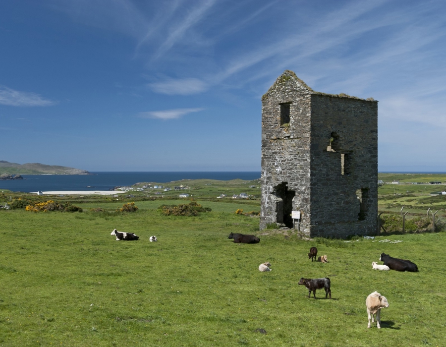 Puxleys Engine House, Allihies, Ireland